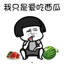 娱乐吃瓜音乐叫什么,探寻“娱乐吃瓜音乐”的独特魅力