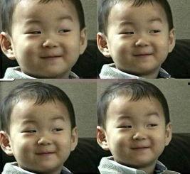 娱乐圈的吃瓜群众 一