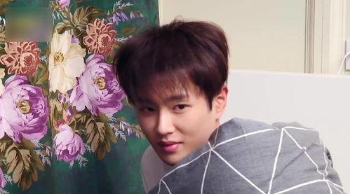 娱乐吃瓜酱少爷是谁